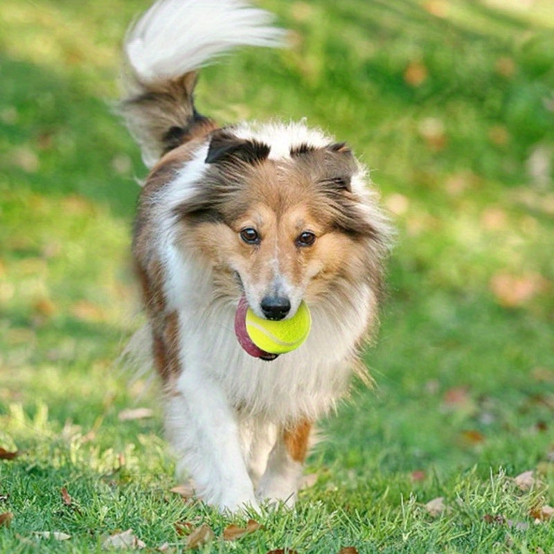 12 Barkhaus 2in Tennis Balls