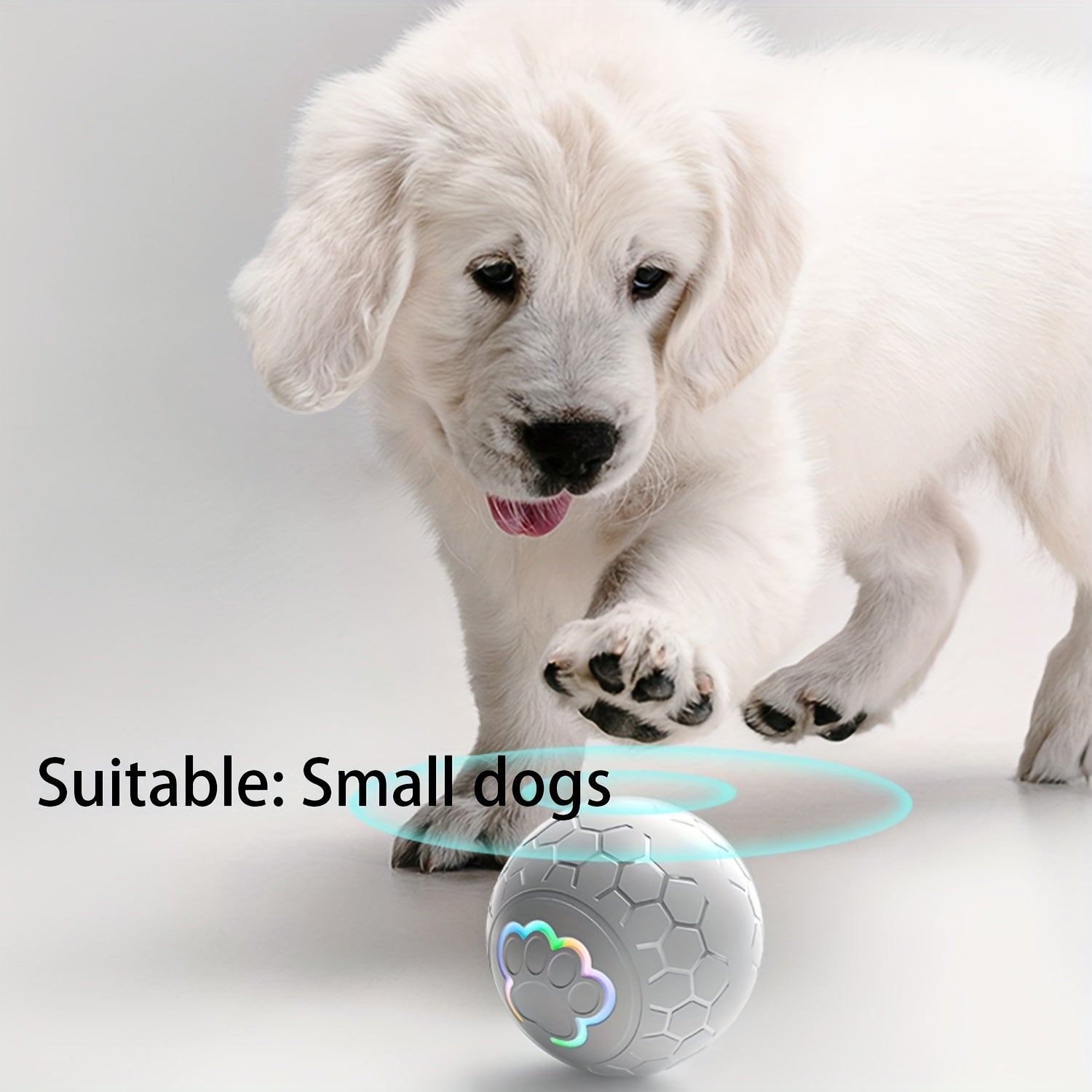 Smart Motion Dog Ball