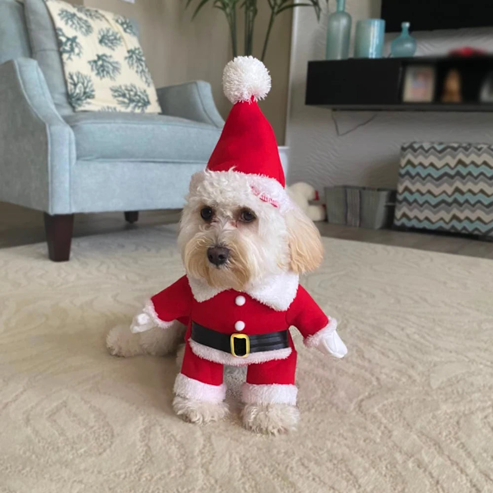 Santa Paws Dog Outfit